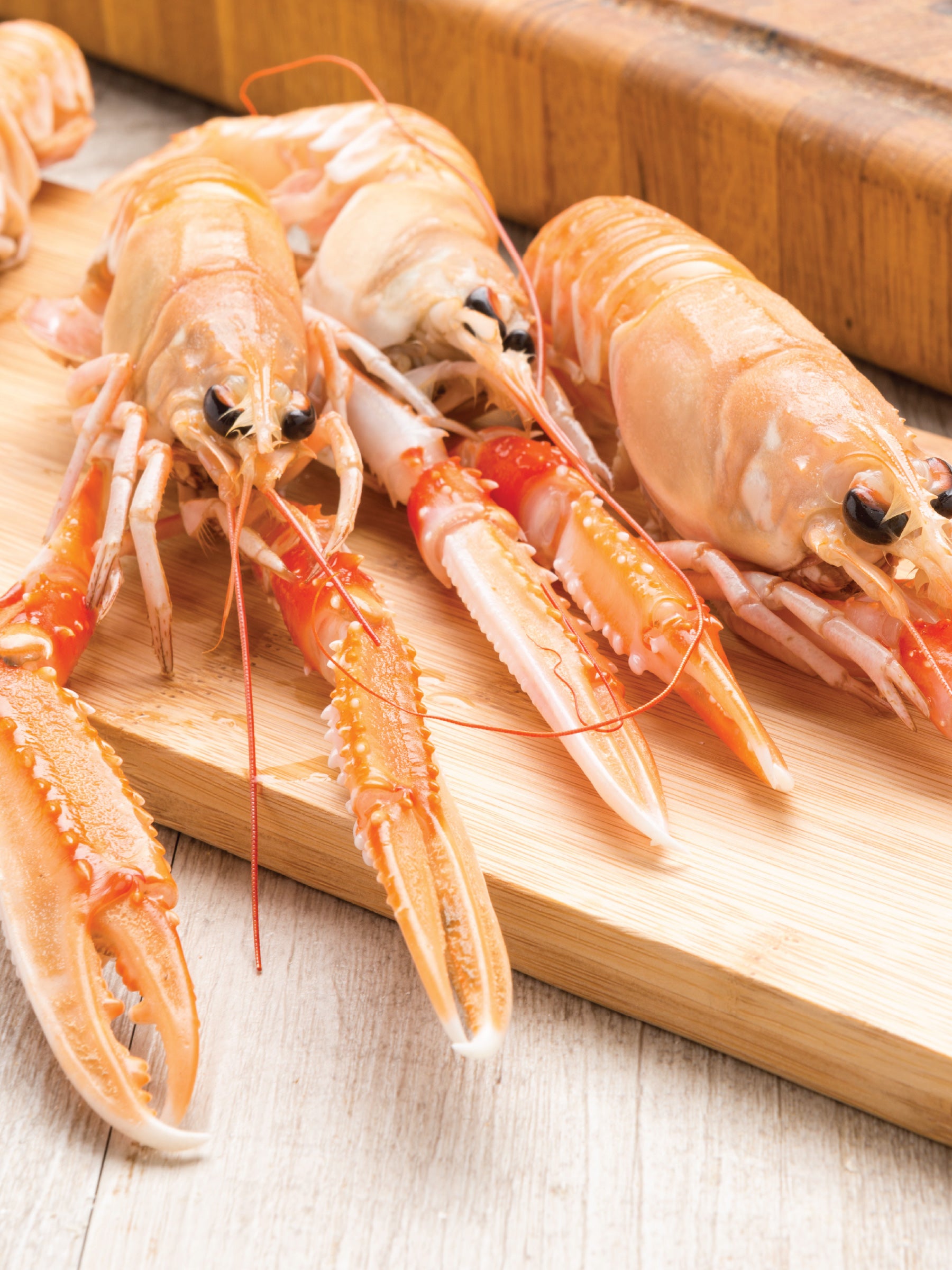 Scampi ASARO (Nephrops norvegicus) – 1 Kg