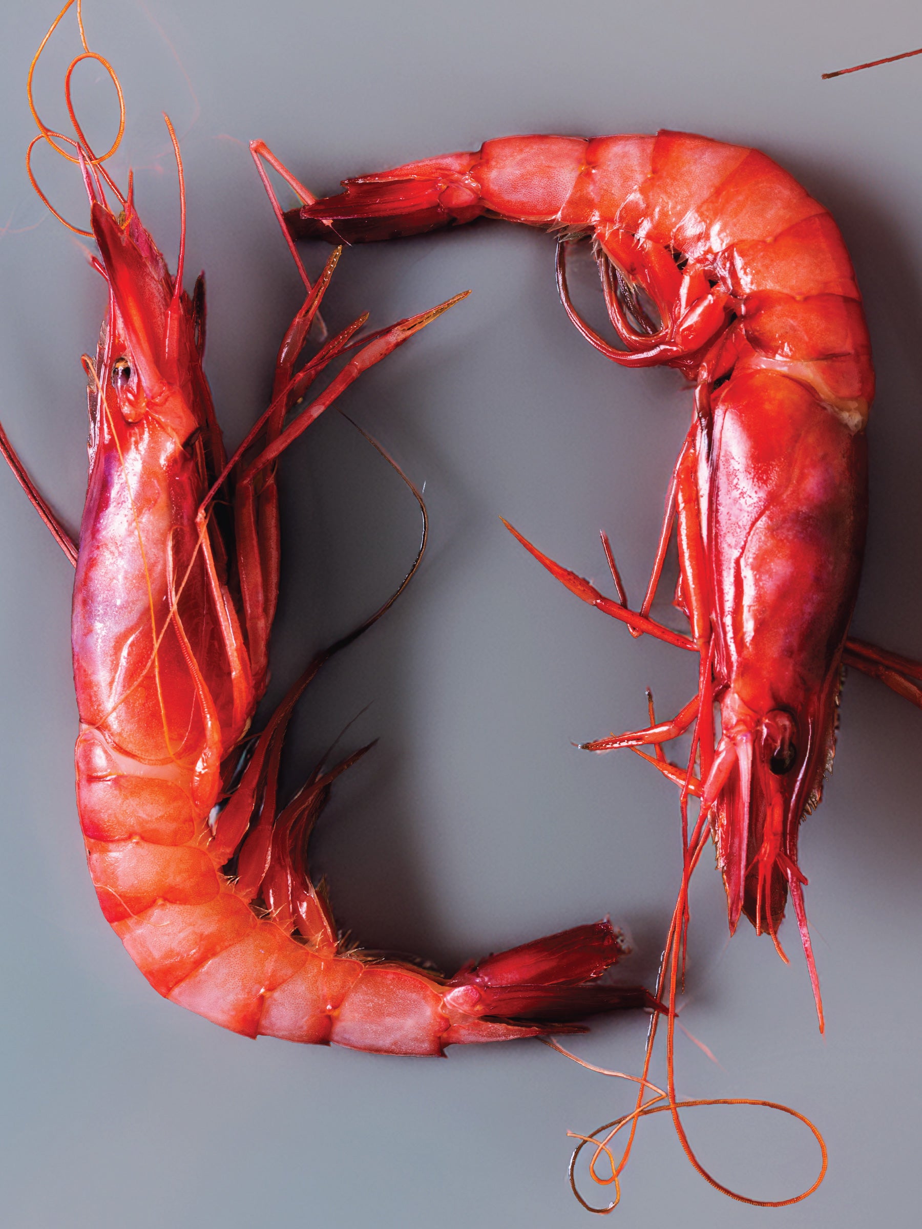 Gambero Viola ASARO (Aristeus antennatus) – 1 Kg